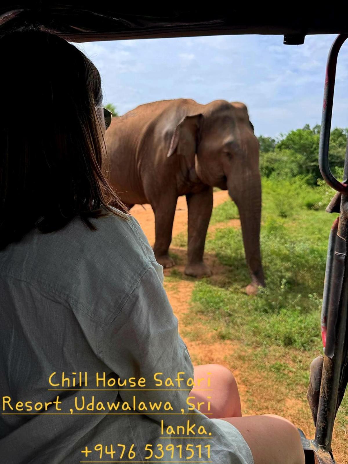 Chill House Safari Resort Udawalawe Exterior photo
