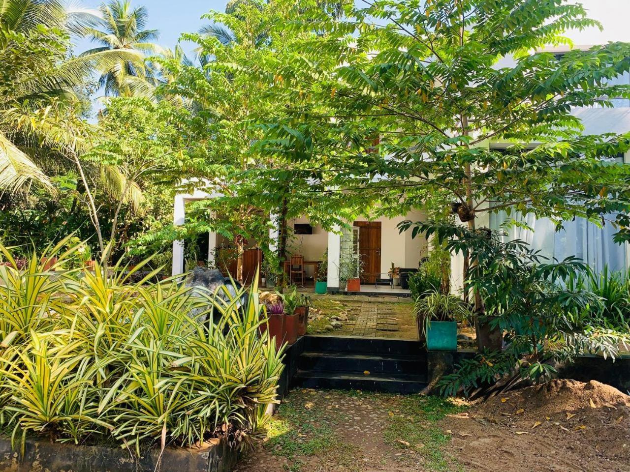 Chill House Safari Resort Udawalawe Exterior photo